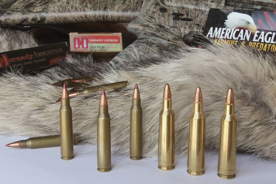 Here’s where East meets West – the .223 Remington (left) is a favorite of hunters east of the Big Muddy, and western hunters prefer the extra muscle provided by cartridges such as the .22-250 Remington (right).